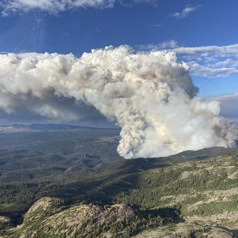 Wildfire crews fight wildfire with fire to protect, secure Cranbrook, B.C. airport